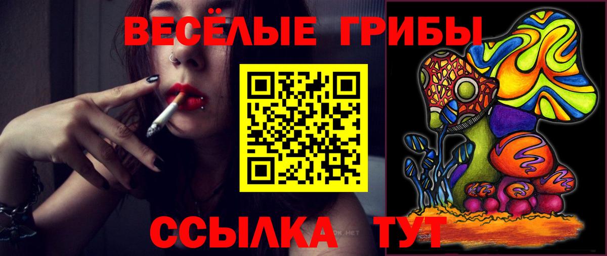 Псилоцибиновые грибы Cubensis  Галлюциногенные грибы MAGIC MUSHROOMS  Избербаш  Вход с VPN 